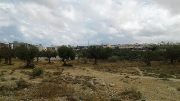 Vente 1 terrain d'avenir Sahloul Sousse Tunisie