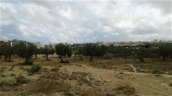 Vente 1 terrain d&#039;avenir Sahloul Sousse Tunisie