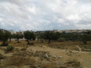 Vente 1 terrain d&#039;avenir Sahloul Sousse Tunisie