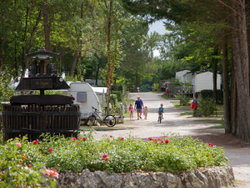 Allee principale