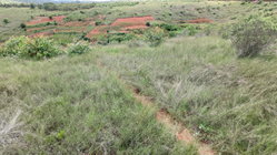 Propriétaire direct VEND  Un grand terrain de 29.750 m2 (2Ha97ca50a)  à 3km d'ambatolampikely RN2. Accessible, bord de route . Électricité et eau à proximité.  - Idéal pour projet agricole - Espace ( Loisirs, Auberge, sns ... ) - Grande usine  Papier (Titré, borné) 50.000Ar/m2 Contact : 033 76 085 86