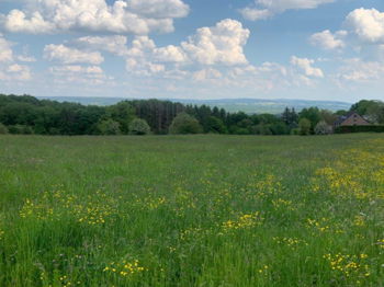 Vente PALENGE Durbuy terrain bâtir 11a 16ca superbe vue Belgique