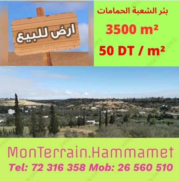 Vente Terrain Hammamet Tunisie