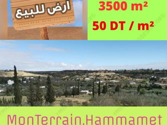 Vente Terrain arboré de 3500 mètres carrés Hammamet Tunisie
