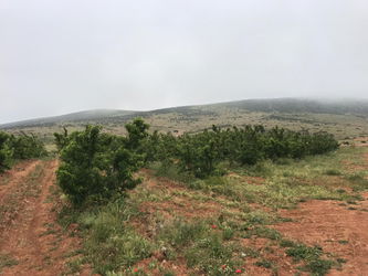 terrain vente Fès Maroc
