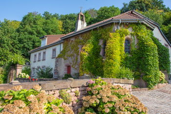 Vente Propriété atypique d&#039;exception Saint-Dié-des-Vosges