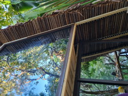 Bungalows proposés