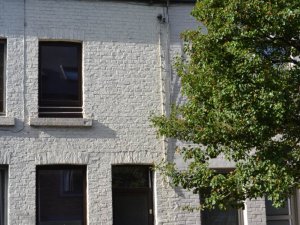 Rochefort en Belgique: A vendre petite maison pour cocooning! Prix imbattable