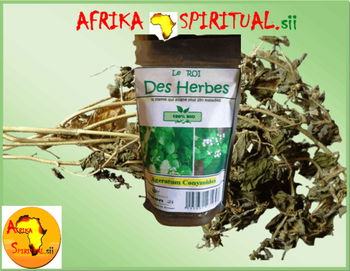 ROI DES HERBES Dakar Sénégal