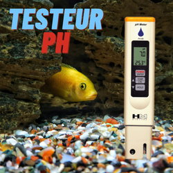 Eau Saine pour Vos Poissons