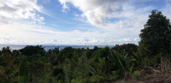 La vue