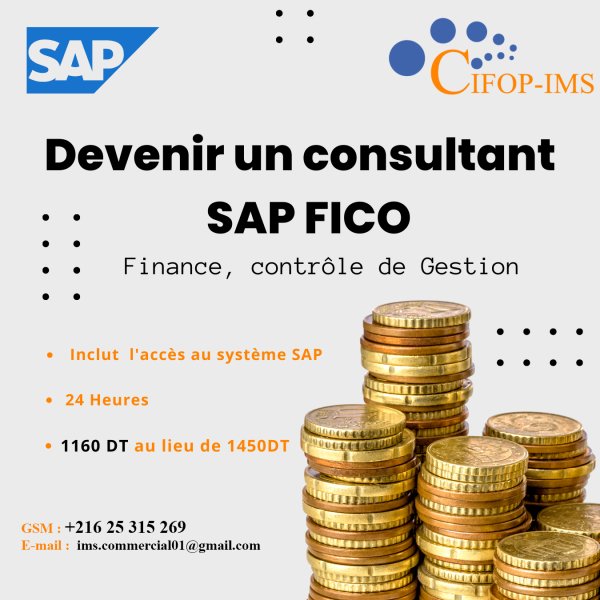 Promotion Formation SAP FICO Finance Comptabilité Gestion Tunis