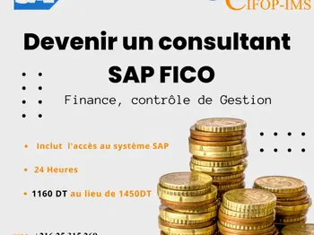 Promotion Formation SAP FICO Finance Comptabilité Gestion Tunis