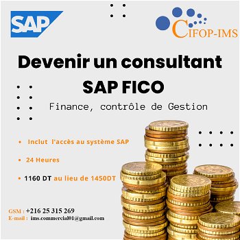 Promotion Formation SAP FICO Finance Comptabilité Gestion Tunis