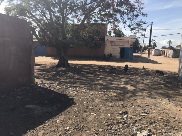 Vente Nianing | Terrain d'angle Sénégal