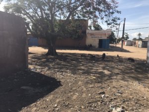 Vente Nianing | Terrain d&#039;angle Sénégal