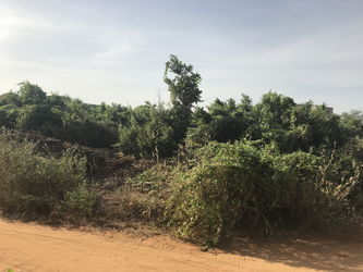Vente Saly Terrain 500m2 proximité centre Diambar Saly Portudal Sénégal