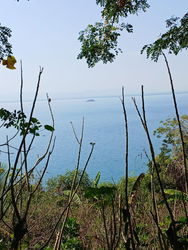 Photo du terrain