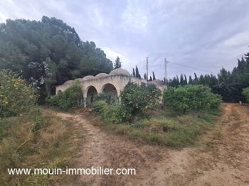 Vente Ferme Beni Khalled Nabeul Hammamet Tunisie