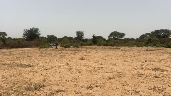 Terrains 225 mètres carrés à vendre à Malicounda, Sénégal