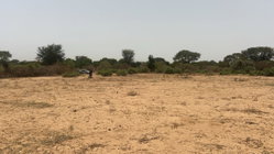 Terrains 225 mètres carrés à vendre à Malicounda, Sénégal
