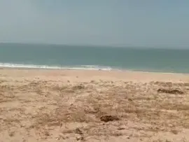 Vente Terrain 2300m2 pieds dans l&#039;eau warang M&#039;Bour Sénégal