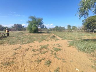 Annonce Vente Terrain plat 4618m2 pieds des dunes sable Betsinjaka Toliara Madagascar