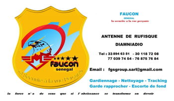Faucon Securite