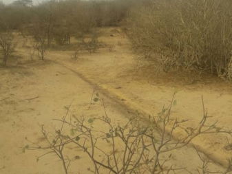 Vente HECTARES POPENGUINE Sénégal