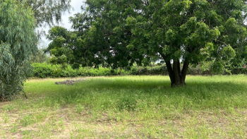 Terrain 1000m2 à Warang