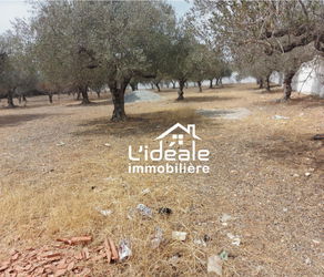 Vente Terrain d&#039;investissement Hammamet Tunisie