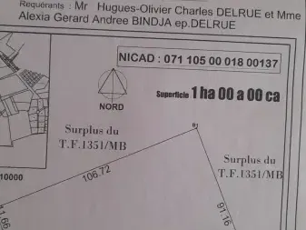 Vente Terrain 1 hectare clos Ngaparou Somone Sénégal