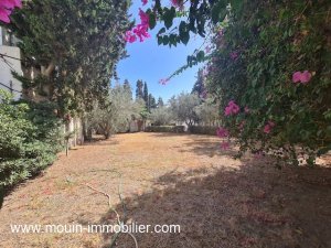 Vente villa talia hammamet nord Tunisie