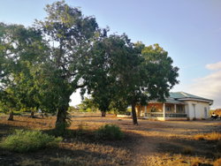 VT 22010