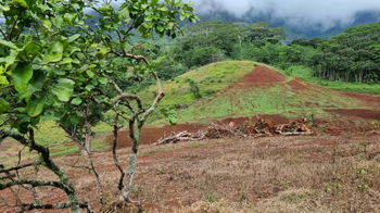 Terrain de 2573 m² à Vendre à Moorea (Lot E)