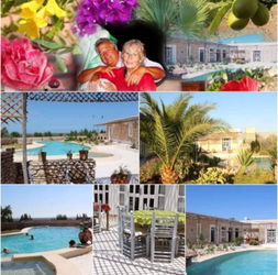 La piscine et les extérieurs 