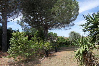 Location vacances studio Camargue 4 personnes Saint-Gilles Gard