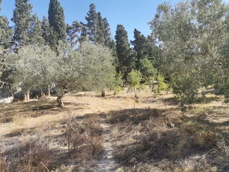 Vente Terrain de 400 mètres carrés Hammamet Tunisie