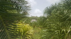 vue de la villa depuis l'étang d'eau douce