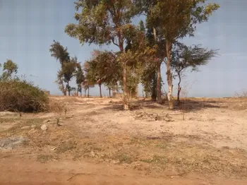 Vente DES MAGNIFIQUES TERRAINS HECTARES POINTE SARENE M&#039;Bour Sénégal