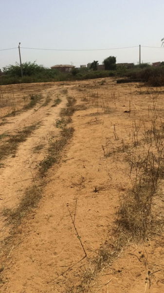 Vente TERRAIN 1700M2 SOMONE Sénégal