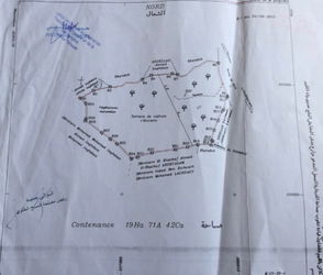 Vente Terrain dans region Chefchaouen pour 1 projet Chechaouen Maroc