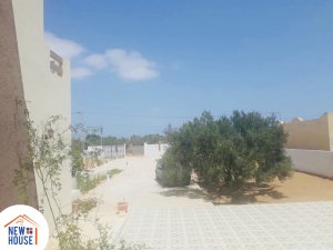 Vente 2 villas bâtis 1 terrain 2800 m² Djerba Tunisie