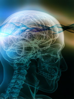 Bio tuning cérébral