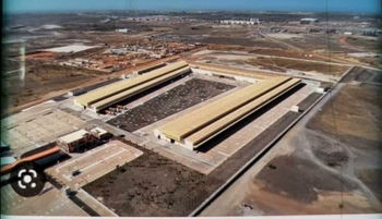 Vente Terrain bail Diamniadio Rufisque Sénégal