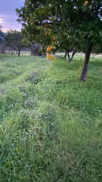 3 beaux terrains mixte dans environnement calme paisible dans Vale Prezeres