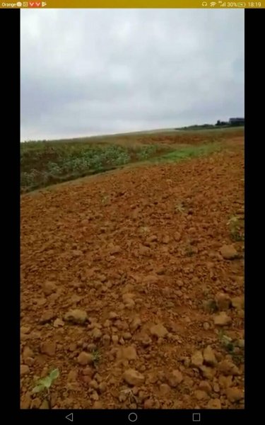Vente Superbe Ferme agricole Convenable pour 1 projet Rabat Maroc