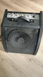 A1