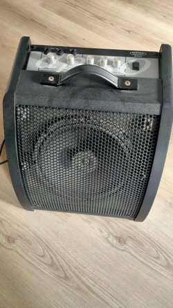 A1