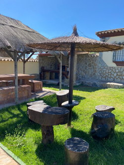 jardin